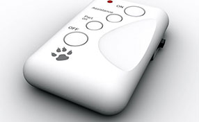 Garage Door Remote Clicker